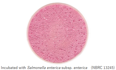 Easy Plate EB Salmonella