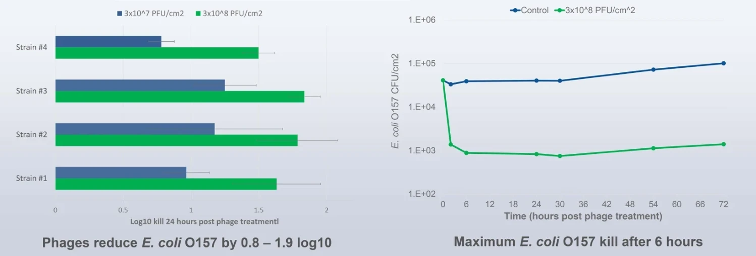 PhageGuard E trial results: reduces E. coli O157 on beef by 0.8 to 1.9 log10, maximum kill after 6 hours